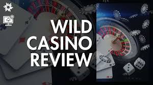 Wild Joker Gambling Establishment Testimonial: Our Judgment